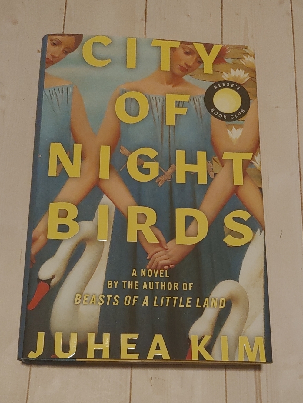 City Of Night Birds Adult Novel Fiction Book By Juhea Kim